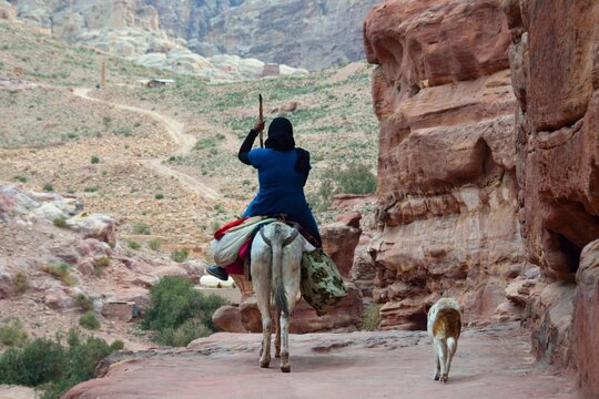 Beduino en mula con perro en Petra, Jordania, Oriente Medio