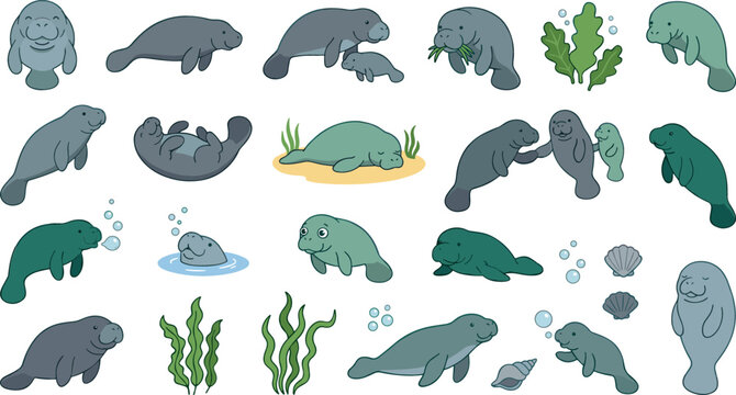 Cute manatee cartoon character vector set featuring happy dugong swimming, mother with baby calf, sleeping on seabed, eating seagrass, and ocean bubbles.