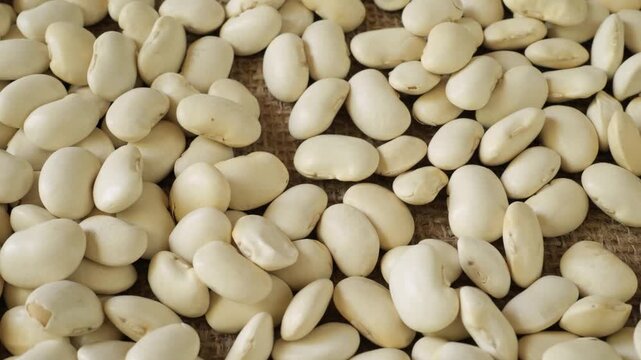 Dry white beans slowly moving for cooking preparation