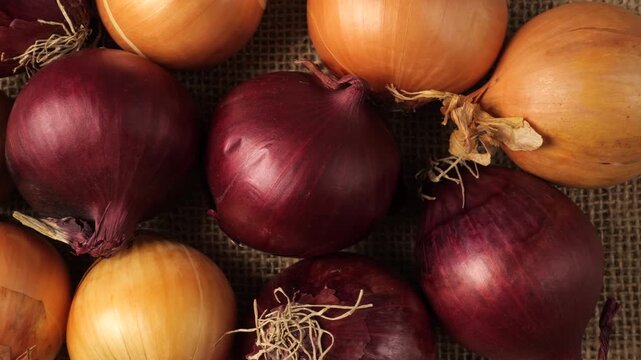 Fresh red and yellow onions moving slowly on burlap background