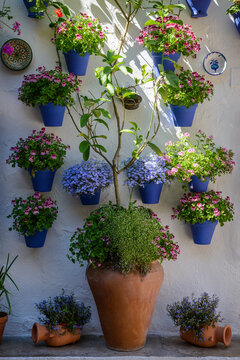 Flowers in blue pots on a whitewashed wall in Cordoba, Spain