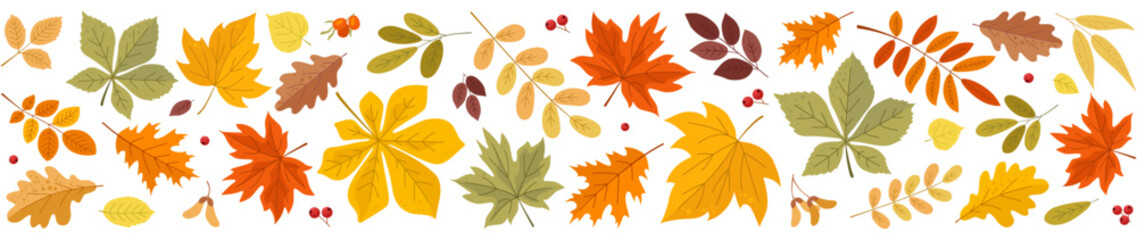 Obraz premium Autumn horizontal border with orange, yellow, green leaves and red berries. Autumn seasonal background with colored leaves