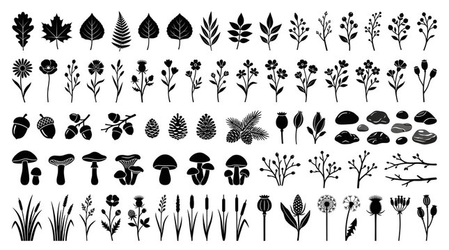 Small Nature Elements Silhouette Set with Leaves Flowers Mushrooms and Stones Vector