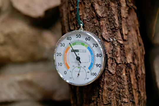 A circular analog climate meter measuring temperature and air humidity mounted on a rough wooden tree trunk in a natural setting.