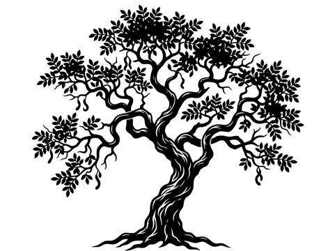 Gnarled Barbatimao Tree Silhouette Twisted Branches Vector Illustration, Transparent background