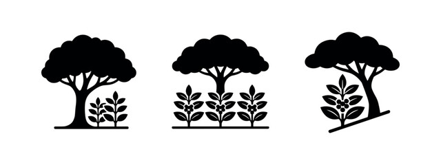 Fototapeta premium Set of Coffee Plant and Tree Icons with Berries. Agriculture and Nature Silhouettes.