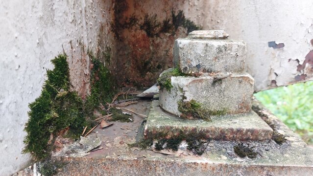 Moss Growing on Rusty Metal Fixture