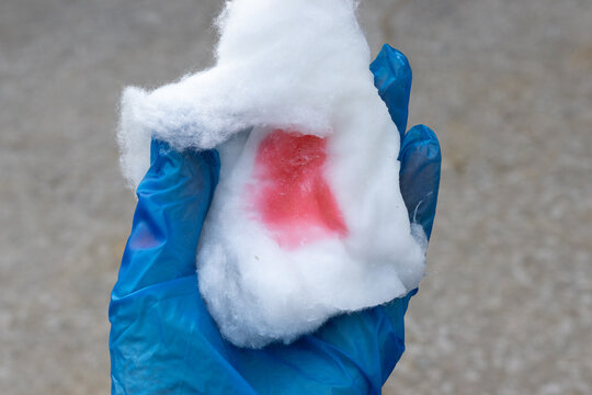 Close-up of a disposable gloved hand holding antiseptic-soaked cotton wool for cleaning a horse. Suitable for concepts including equine veterinary care, biosecurity, first aid, hygiene, wound manageme