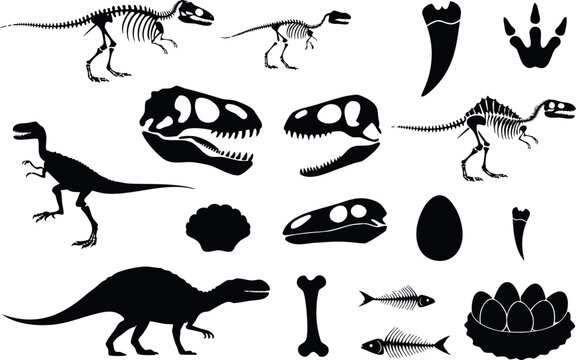 Set of dinosaur silhouettes, skeletons, skulls, bones, eggs, and fossils
