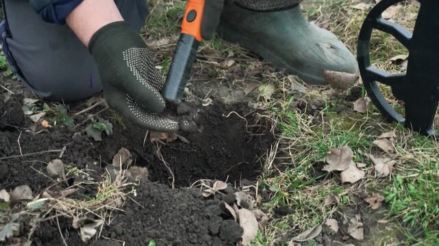Individual in gloves using a metal detector tool to excavate soil while searching for buried objects in a grassy area with fallen leaves and a metal detector visible in the background