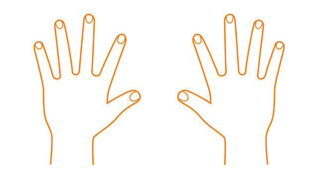 Vector simple palm hand in minimal linear style. Hand icon
