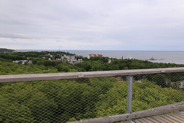 Fototapeta premium Blick von dem Heringsdorfer Baumwipfelpfad auf die Naturlandschaft der Ostseeinsel Usedom 