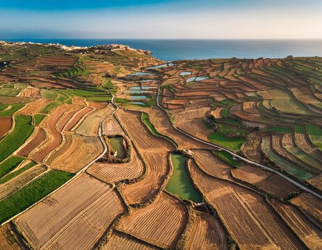 ix xini gozo malta aerial view of plowed agricultural fields with small water bodies in a rural landscape showing neutral patterns and textures in brown and green tones during daylight