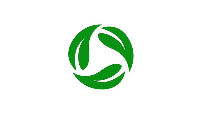Minimalist Organic Leaf Loop Animation