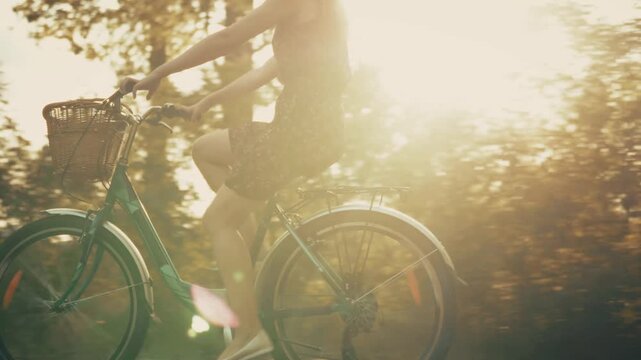 Woman Riding Vintage Bicycle With Wicker Basket Park Trail Sunset. Travel And Leisure