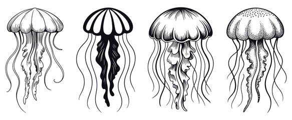 Jellyfish Ensemble: A striking collection of four jellyfish illustrations, each unique in its detailed form. © Itz Buddha 