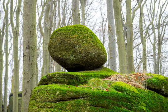 A granite boulder rests on a larger rock formation. It is covered in green moss and surrounded by tall, bare trees. The scenery shows the natural beauty of the forest.