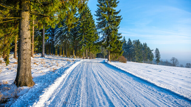 A road covered in snow runs through a wooded area. Tall trees line both sides, showing signs of winter with snow on their branches. The sky is clear and bright.