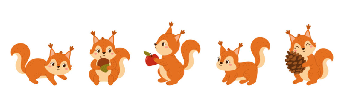 Cute squirrel animal collection. Autumn  squirrels in different poses with acorn, apple and pine cone isolated on white background. Flat vector illustration for kids design, card, sticker.