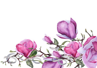 Watercolor magnolia bottom border with pink blossoms, leafy branches and flowing ribbons, leaving generous copy space above. © _Julia_red