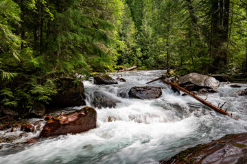 Mountain River, Glacier NP © Brian Bownds