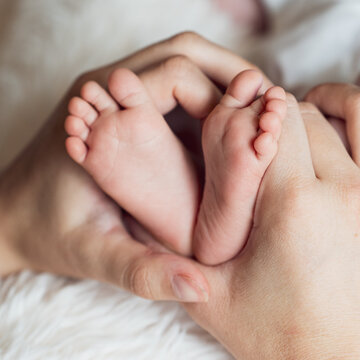 Newborn's Tiny Feet Surrounded by Mother's Hands