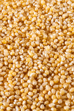 Closeup of un-popped kernels of popcorn 