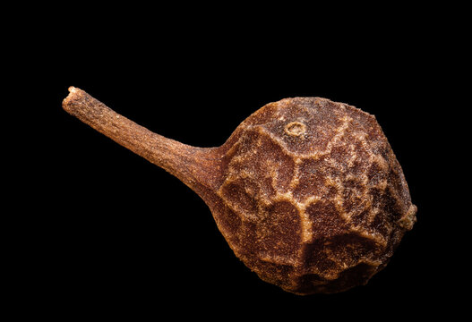 kubeba cubeba peppercorns