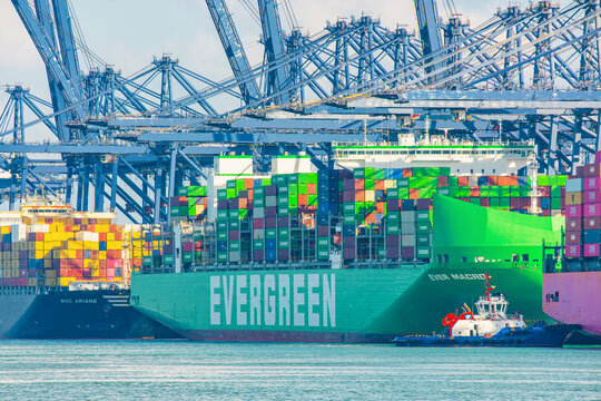 Shenzhen, China - May 22, 2026: Evergreen container ship berthed at Shenzhen Port cargo terminal with cranes and stacked containers. International maritime shipping, ocean freight and global logistics