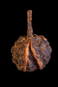 timut pepper large isolated on black background