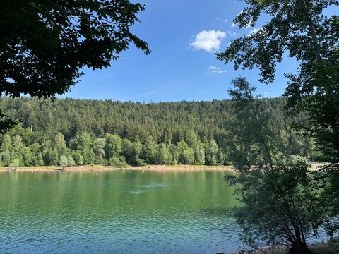 Nagold Dam in Seewald-Erzgrube or Nagold Dam Landscape Conservation Area (Black Forest, Germany) - Landschaftsschutzgebiet Nagoldtalsperre in Seewald-Erzgrube oder Talsperre Erzgrube (Schwarzwald)