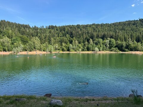 Nagold Dam in Seewald-Erzgrube or Nagold Dam Landscape Conservation Area (Black Forest, Germany) - Landschaftsschutzgebiet Nagoldtalsperre in Seewald-Erzgrube oder Talsperre Erzgrube (Schwarzwald)