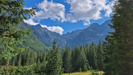 Rocky mountain peaks above conifer forest in the Tatra Mountains, Poland © Max