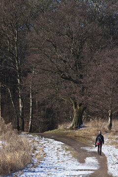 Path in the nature in denmark