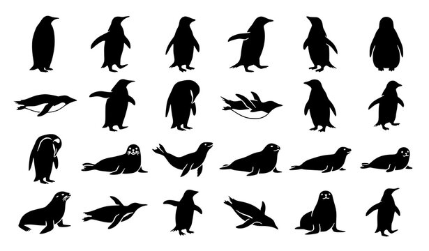 penguin, seal, wildlife, animal, antarctic, silhouette, black, bird, marine, ocean, nature, standing, walking, swimming, resting, colony, flipper, mammal, polar, fauna, vector, illustration, collectio