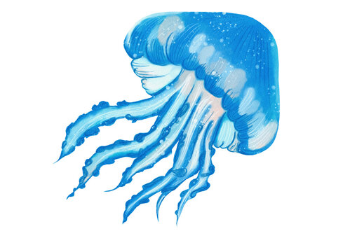 Jellyfish made in Procreate in Watercolor technique. PNG file. 300 DPI