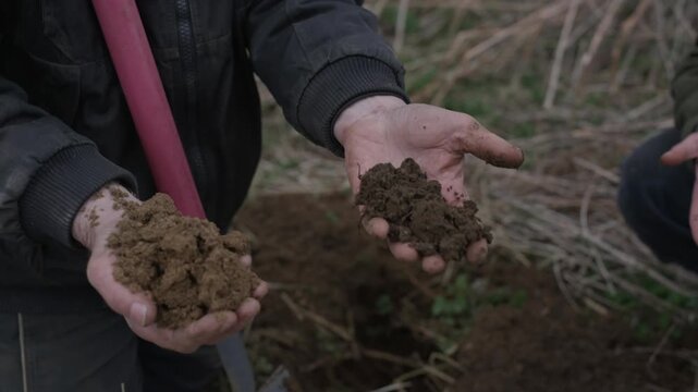 Agronomist comparing healthy fertile soil with an earthworm to sandy, poor soil in the field
