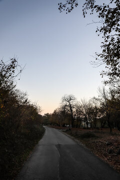 Landscape with beautiful fog in forest on hill or Trail through a mysterious winter forest with autumn leaves on the ground. Road through a winter forest. Magical atmosphere. Azerbaijan nature