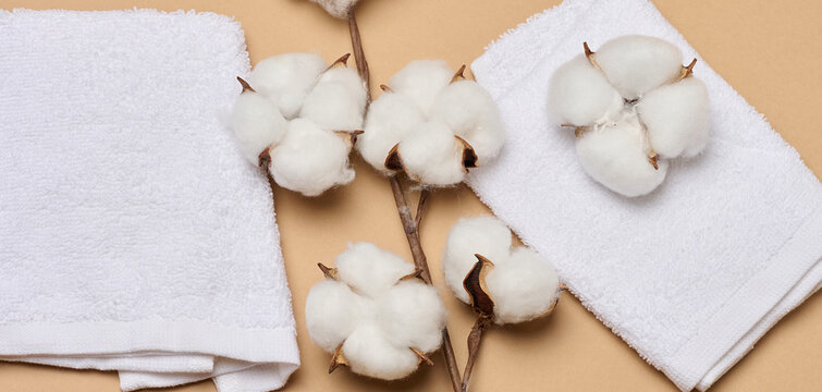A folded soft white terry towel and natural cotton bolls on a warm beige background symbolize purity and comfort.