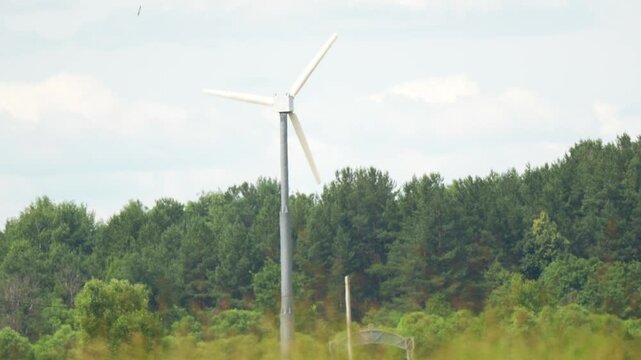 Wind turbine spins against blue sky. Green fields and trees frame the scene. Lush grass and forest backdrop. Perfect for renewable energy topics or eco-friendly documentaries