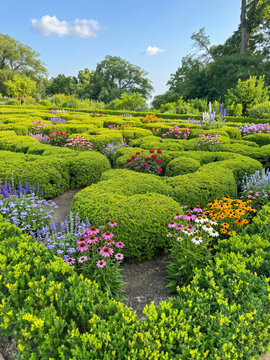 A beutiful summer garden with low hedges and flowers