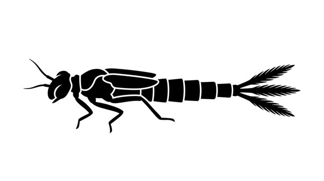 Aquatic insect nymph larva silhouette graphic.