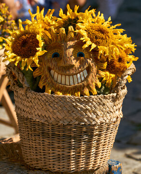 Sunflower in the basket chuckling together