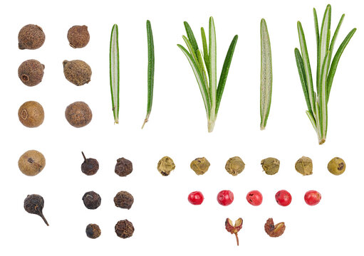 Fresh green rosemary sprigs and dry multi-colored peppercorns