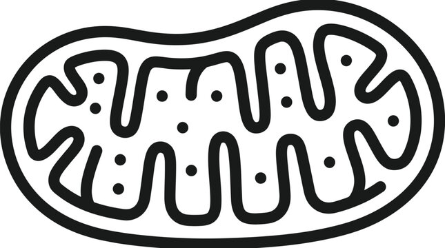 Minimalist mitochondrion vector illustration featuring black bold outline style for scientific research and educational biology designs