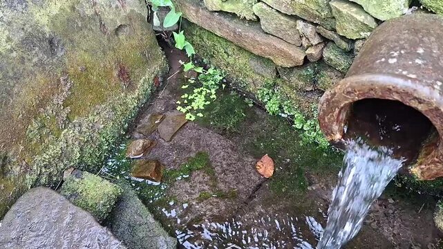 Water flowing from a pipe into a stone village spring. Natural mountain stream with moss covered rock and lush green plant. Environmental ecology water resource.