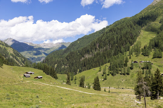Almh&uuml;tte in den Bergen vor dichtem Nadelwald