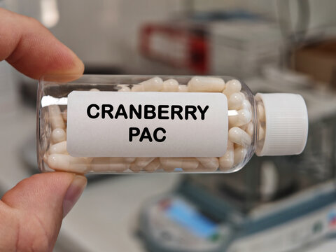 CRANBERRY PAC hard capsule cranberry proanthocyanidins for urinary tract support in a pharmacy laboratory