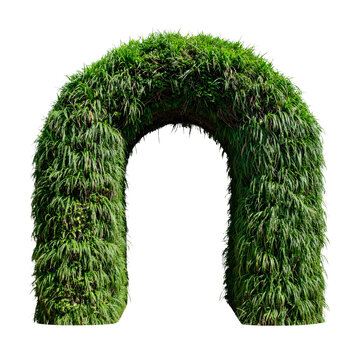 Grass archway shaped like a letter N made from vibrant green foliage and lush natural leaves forming an organic architectural structure&nbsp;&nbsp;