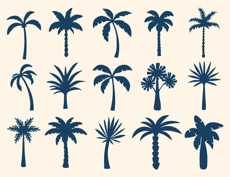 Palm Tree Silhouette Set Collection
